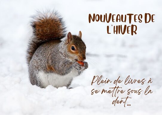 Nouveautés janvier 2026.jpg