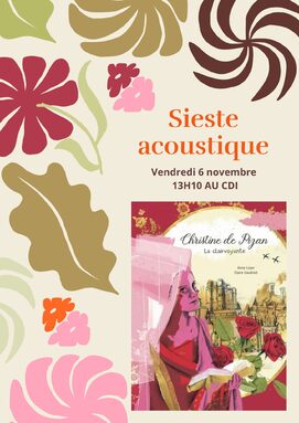 sieste acoustique.jpg