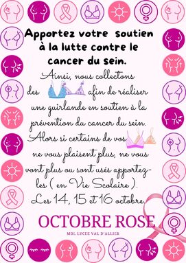 Affiche Campagne Octobre Rose Femmes.jpg